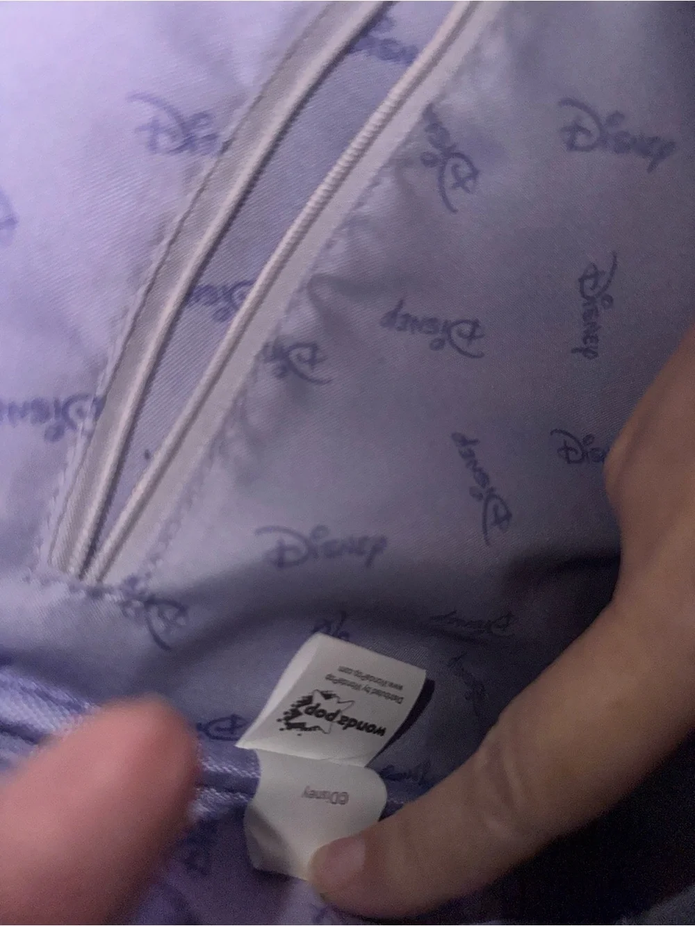 Disney new without